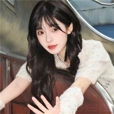 狼与狮子
